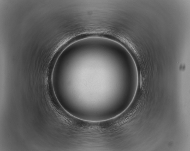 X0000091450483200708161301