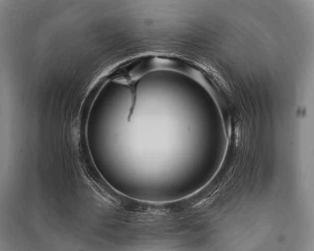 X0000091450484200708161301