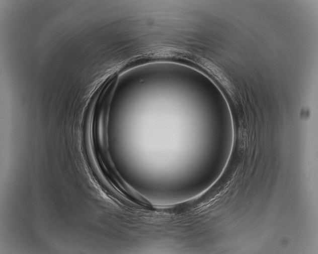 X0000091450485200708161301