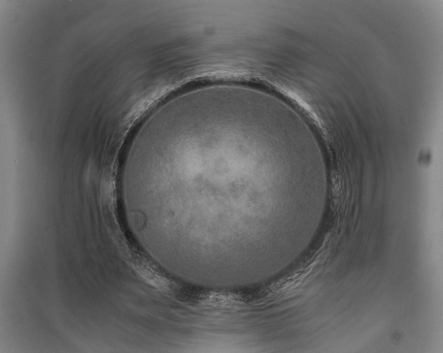 X0000091450487200708161301