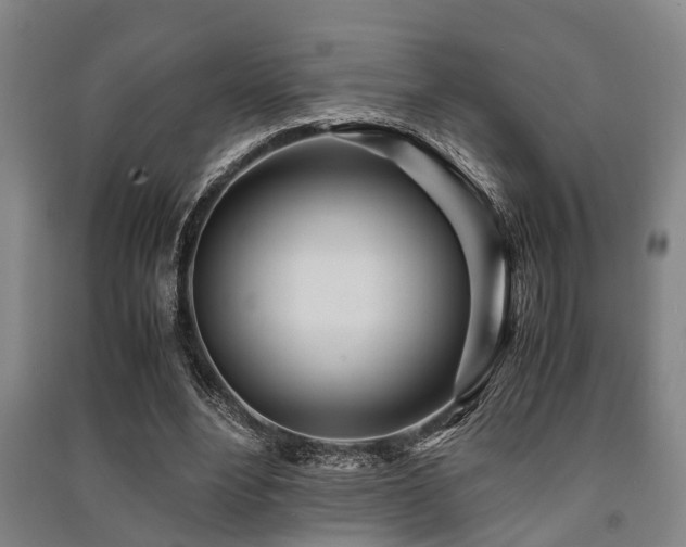 X0000091450488200708161301