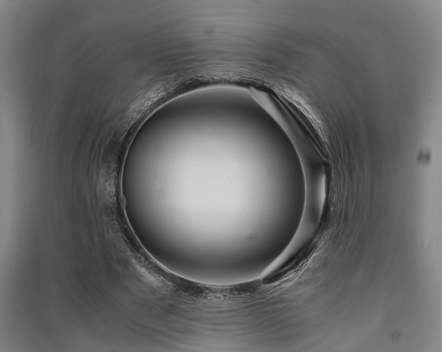 X0000091450489200708161301