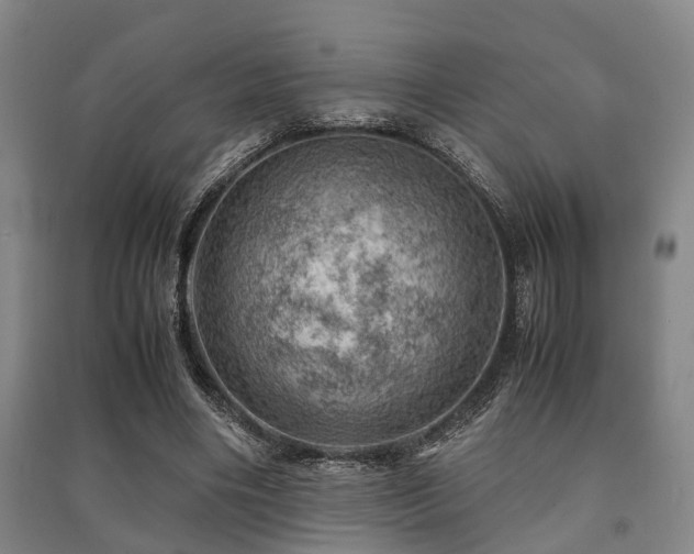 X0000091450490200708161301