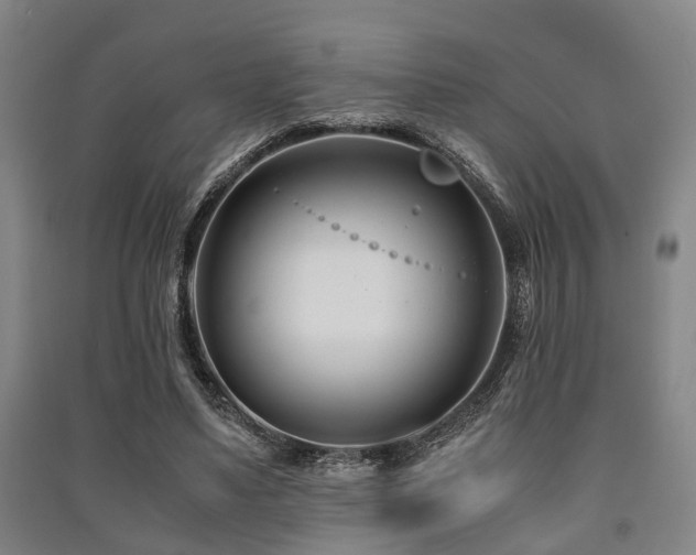 X0000091450491200708161301