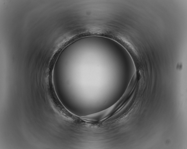 X0000091450492200708161301