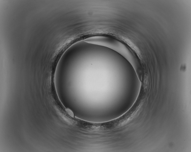 X0000091450493200708161301