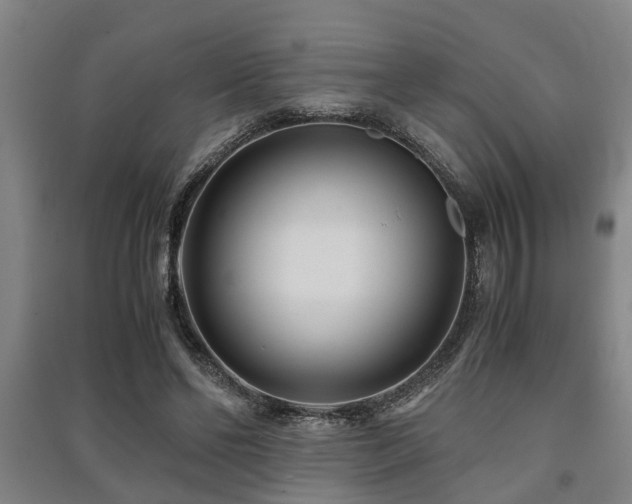 X0000091450494200708161301