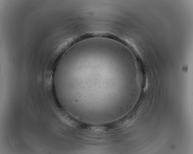 X0000091450495200708161301