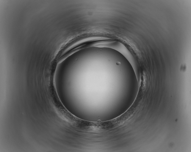 X0000091450496200708161301