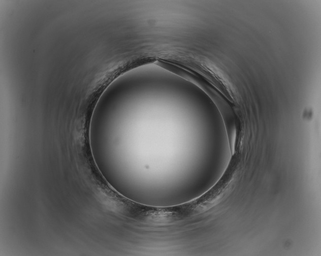 X0000091450497200708161301