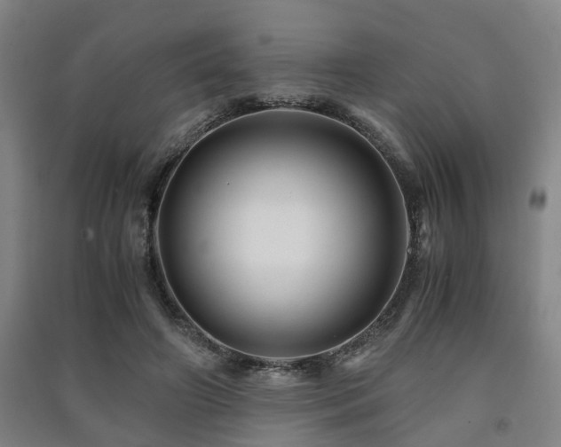 X0000091450498200708161301