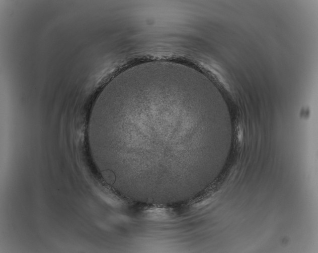 X0000091450499200708161301