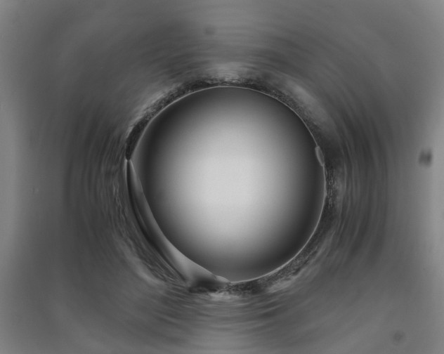 X0000091450500200708161301