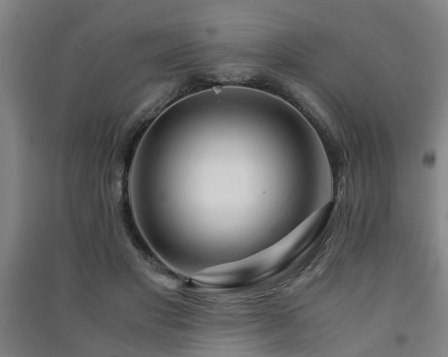 X0000091450501200708161301