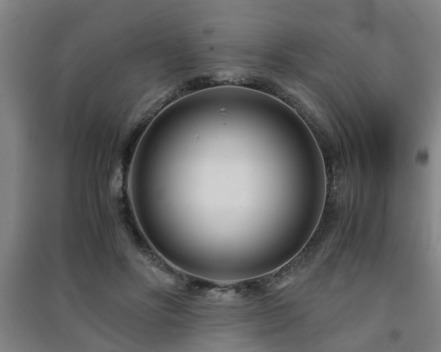 X0000091450502200708161301