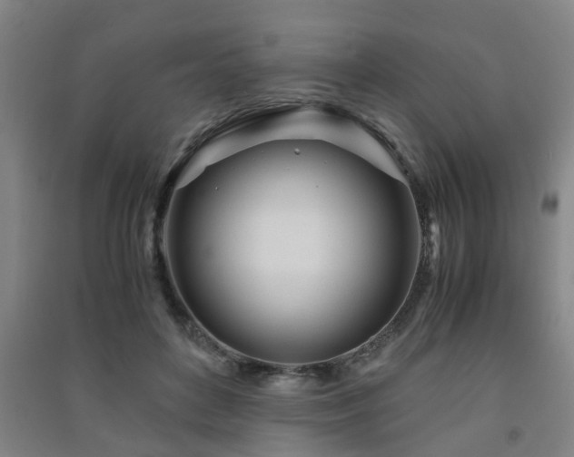 X0000091450504200708161301