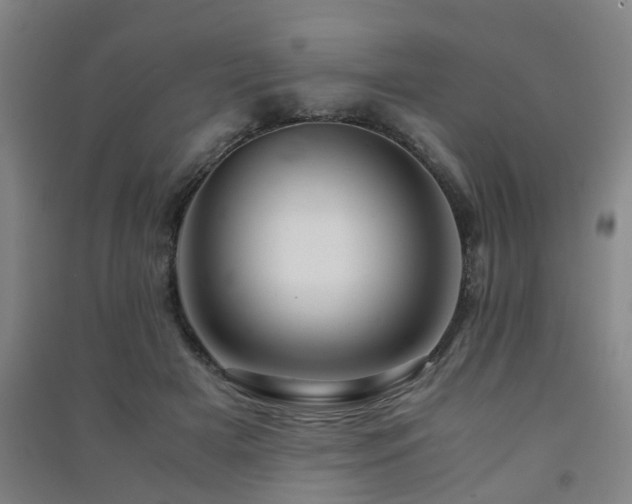 X0000091450505200708161301