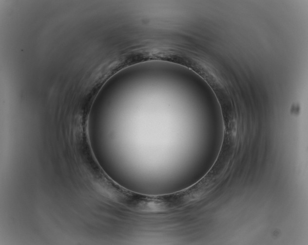 X0000091450506200708161301