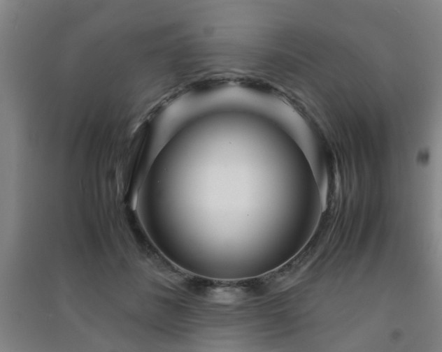 X0000091450508200708161301