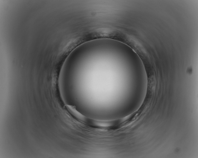 X0000091450509200708161301