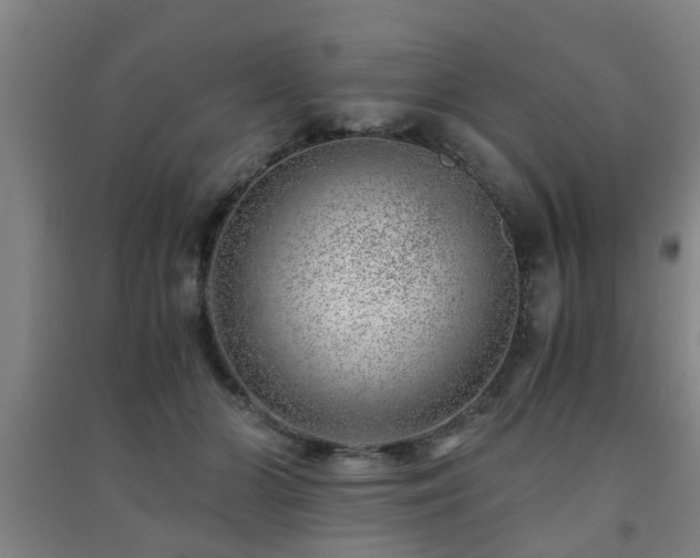 X0000091450510200708161301
