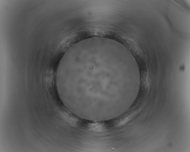 X0000091450511200708161301