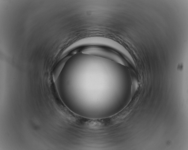 X0000091450512200708161301