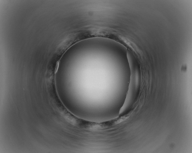 X0000091450513200708161301