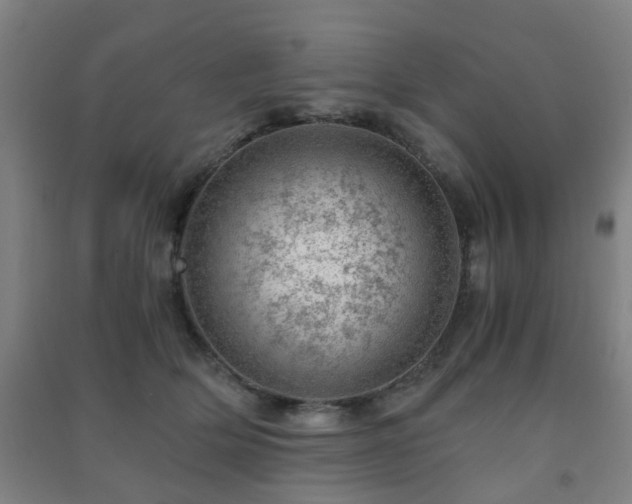 X0000091450514200708161301