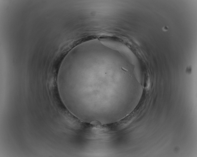 X0000091450515200708161301