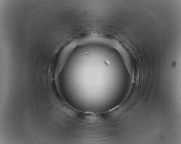 X0000091450516200708161300