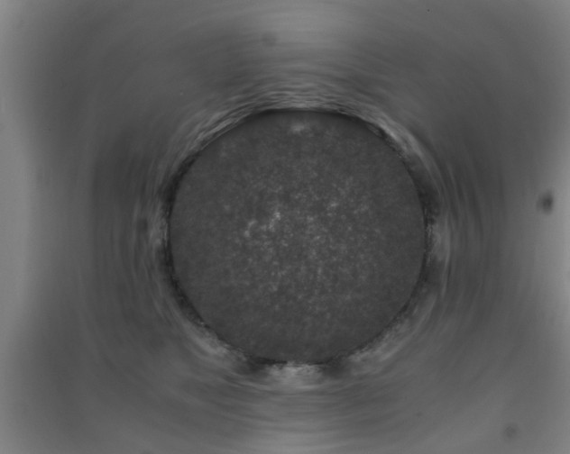 X0000091450517200708161300