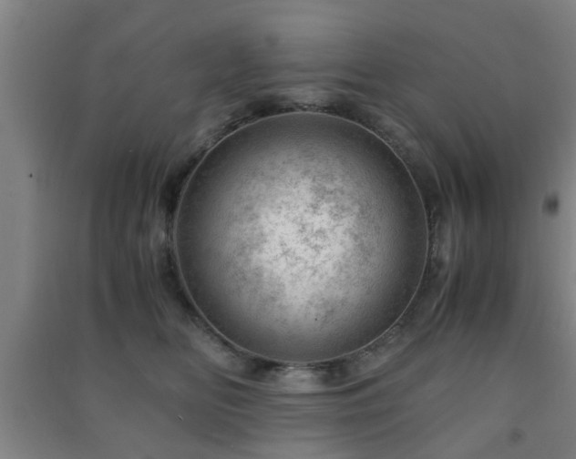X0000091450518200708161300