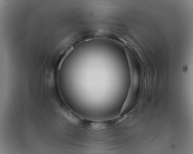X0000091450520200708161300