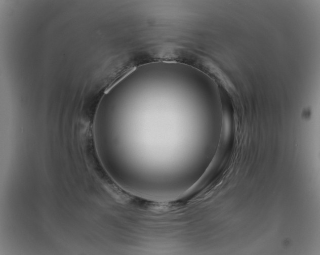 X0000091450521200708161300