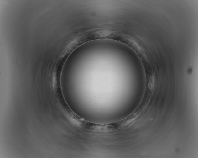 X0000091450524200708161300