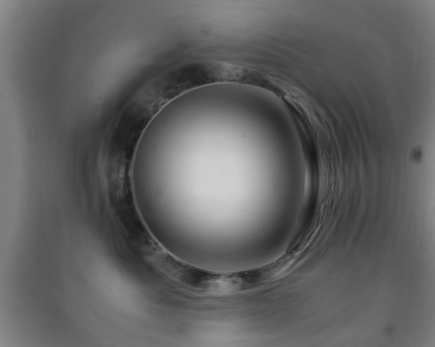 X0000091450525200708161300