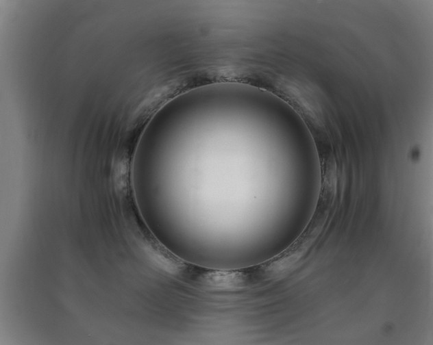 X0000091450526200708161300