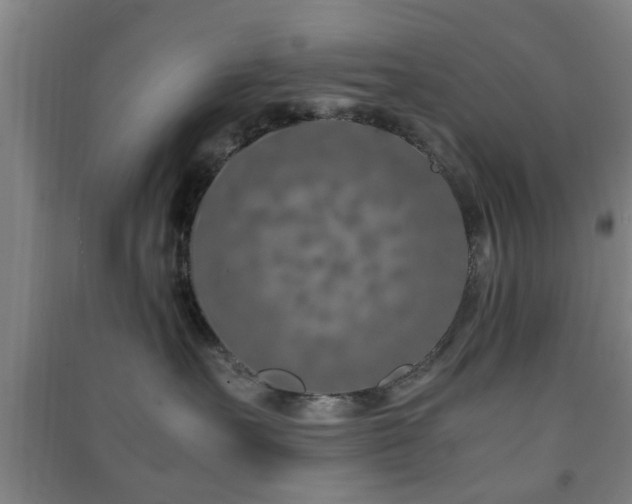 X0000091450527200708161300