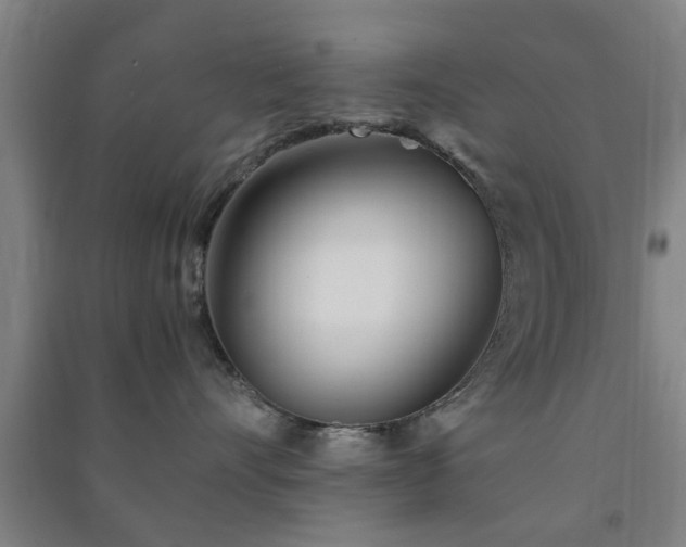 X0000091450528200708161300
