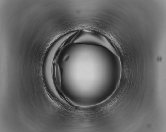 X0000091450530200708161300