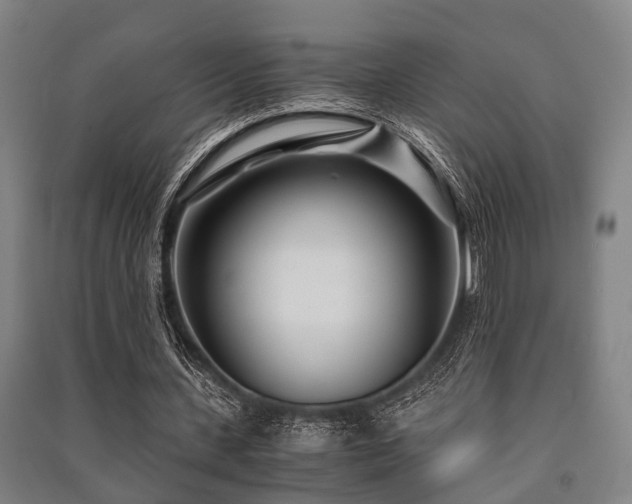 X0000091450531200708161300