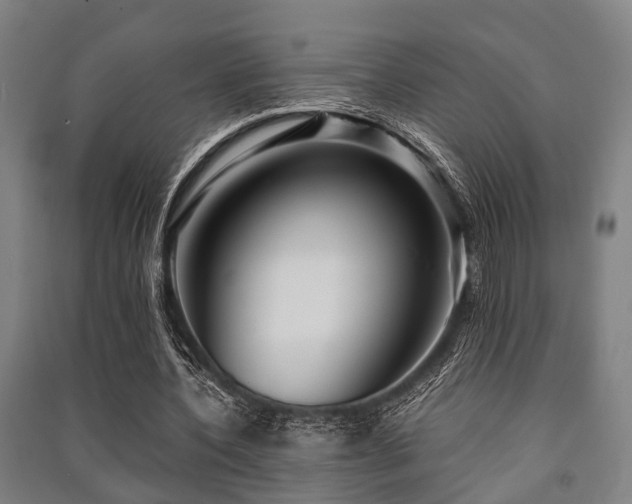 X0000091450532200708161300