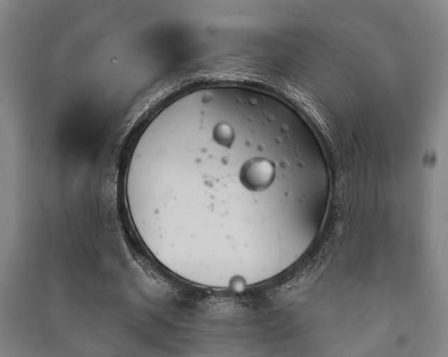 X0000091450534200708161300