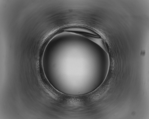 X0000091450535200708161300