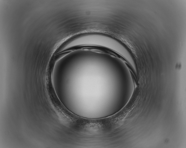 X0000091450536200708161300