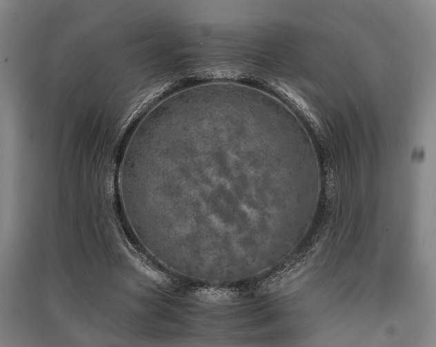 X0000091450537200708161300