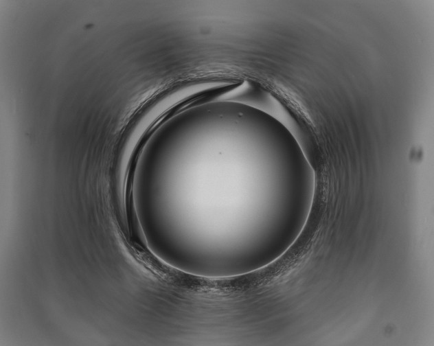 X0000091450538200708161300