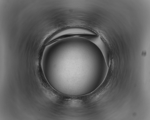 X0000091450539200708161300
