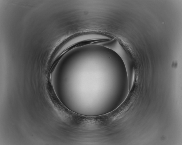 X0000091450540200708161300